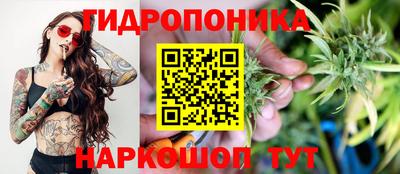 PSILOCYBIN Татарск