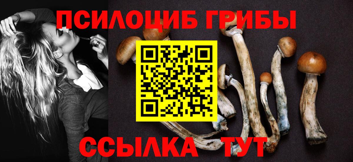 Галлюциногенные грибы Psilocybe  что такое наркотик  Новосибирск  Вход с VPN 